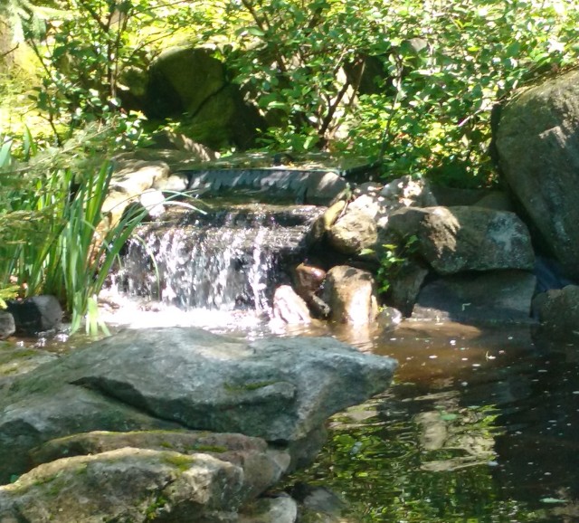 waterfall at retreat center for Grace deacons retreat cropped